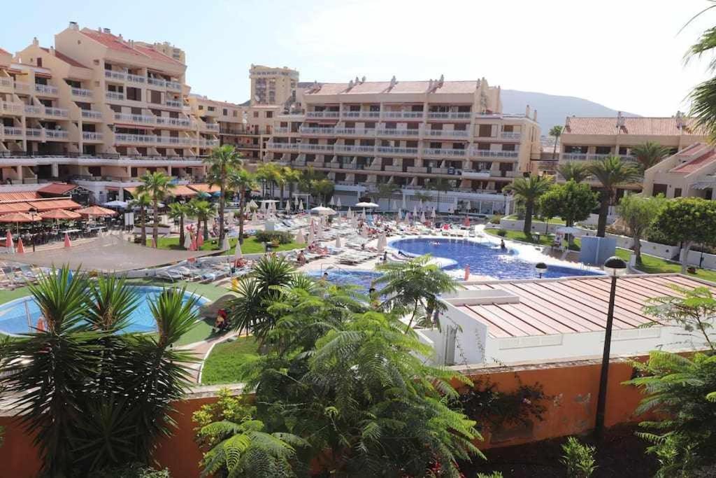 פלאייה דה לאס אמריקס Royal Gardens Studio 123 Tenerife Rental & Sales מראה חיצוני תמונה